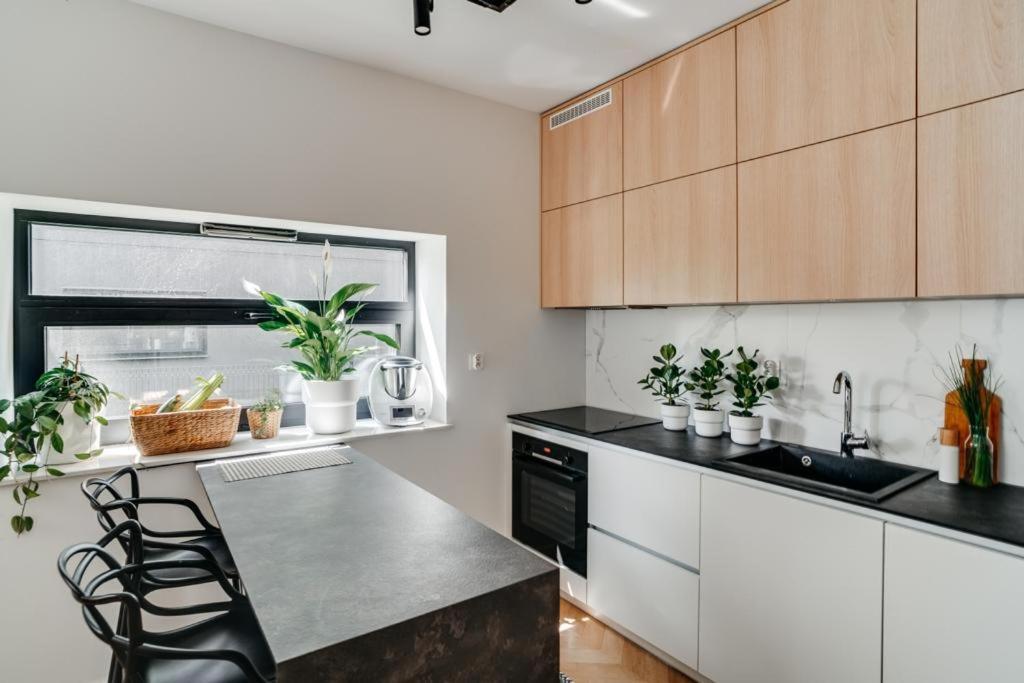 Araliya Apartman Krakkó Kültér fotó