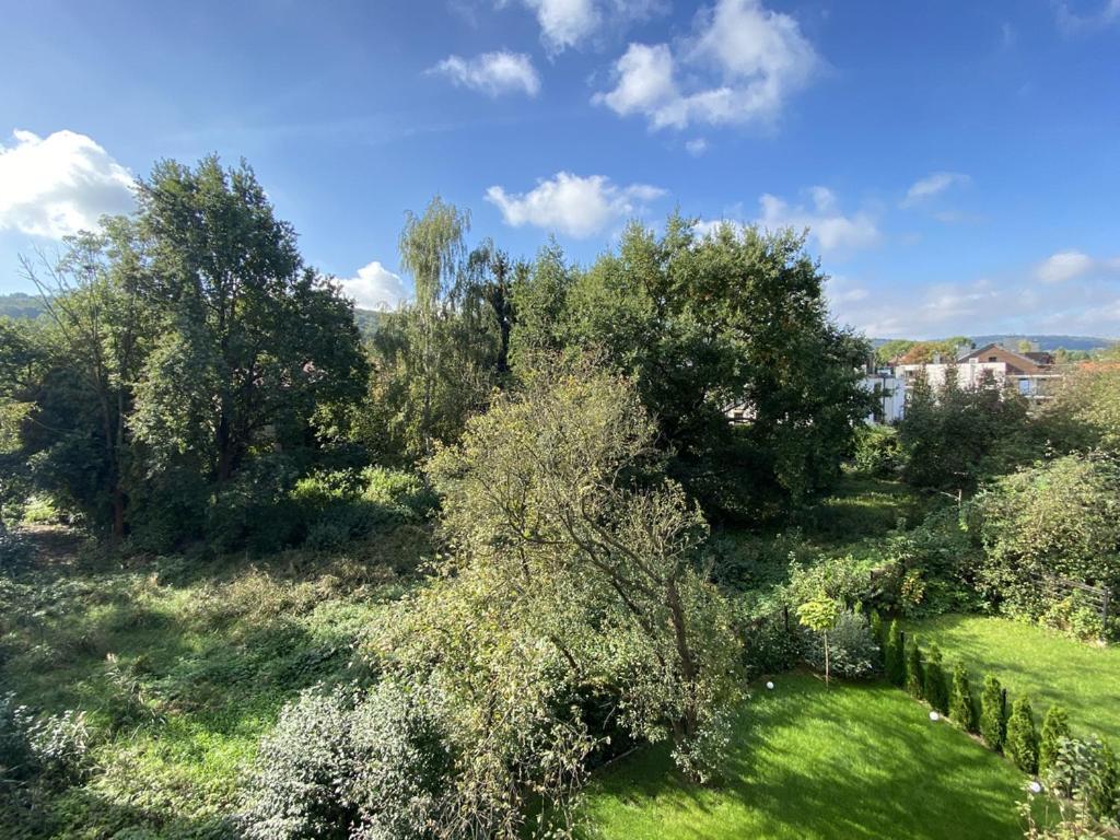 Araliya Apartman Krakkó Kültér fotó